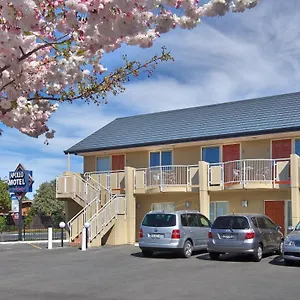 https://apollo-motel.top-hotels-christchurch.com